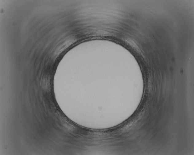 X0000087390873200705181305