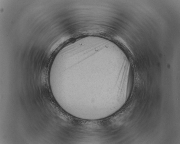 X0000087390874200705181305