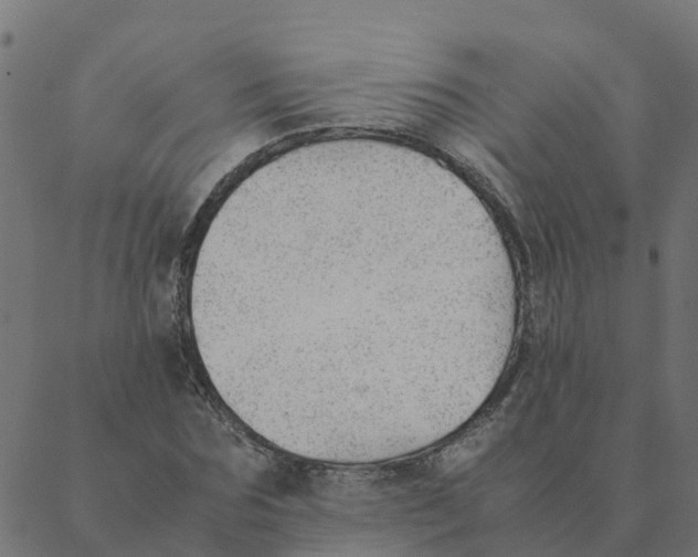 X0000087390875200705181305