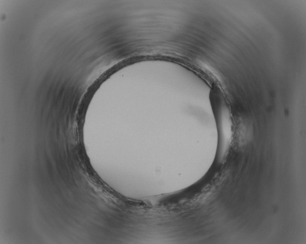 X0000087390876200705181305