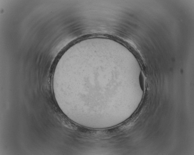 X0000087390879200705181304