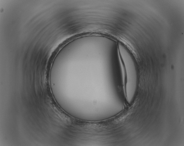 X0000087390880200705181304