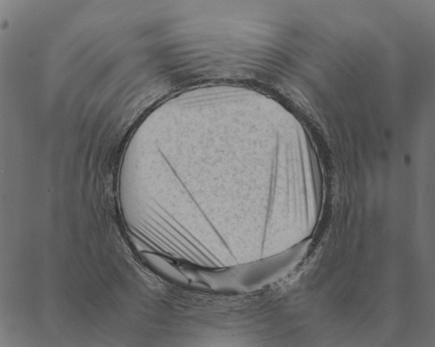 X0000087390881200705181304