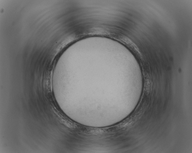 X0000087390882200705181304