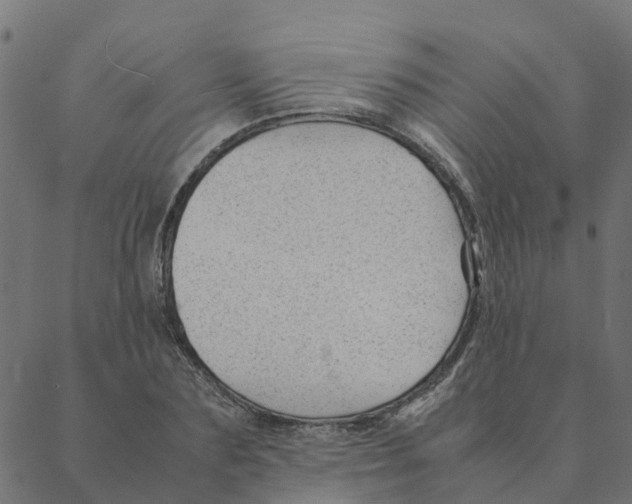 X0000087390883200705181304