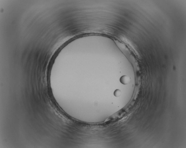 X0000087390884200705181304