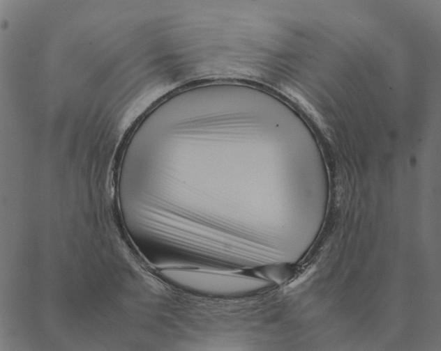 X0000087390885200705181304