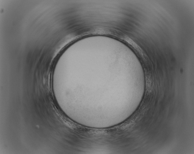 X0000087390886200705181304