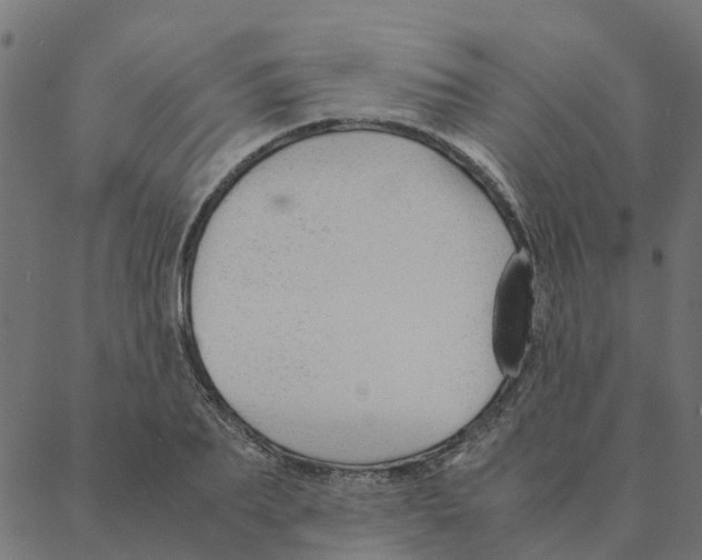 X0000087390887200705181304