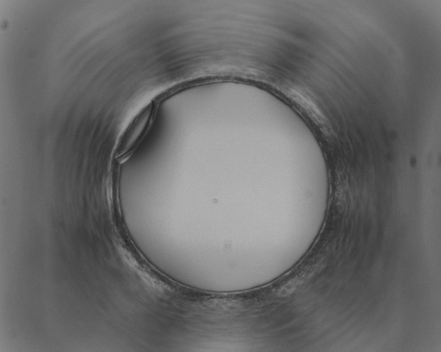 X0000087390888200705181304