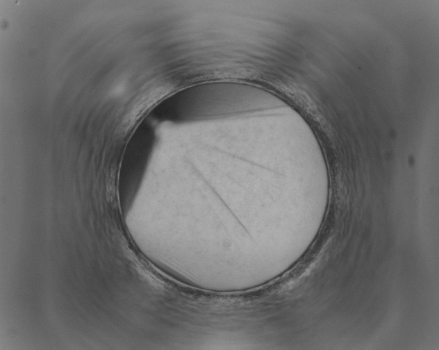 X0000087390889200705181304