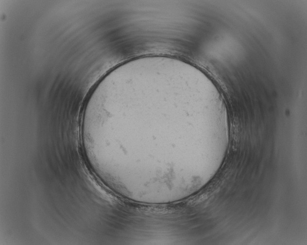 X0000087390890200705181304