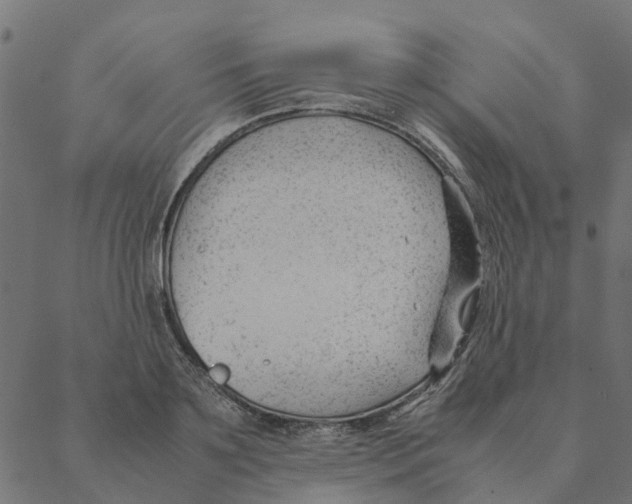 X0000087390891200705181304