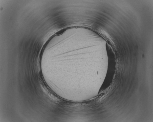 X0000087390892200705181304