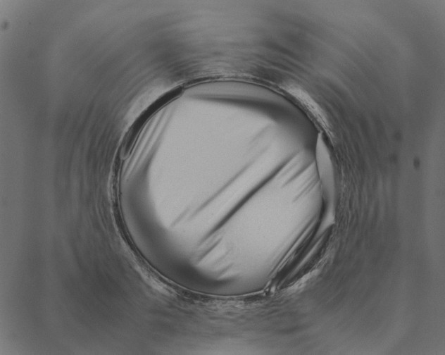 X0000087390893200705181304