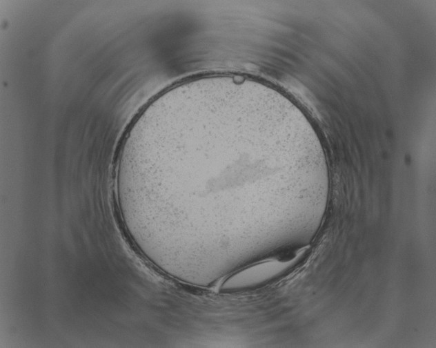 X0000087390895200705181304