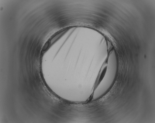 X0000087390896200705181304