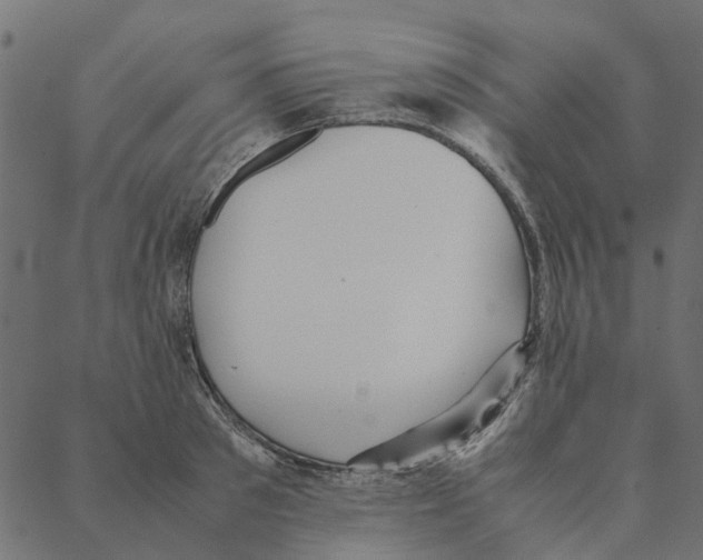 X0000087390897200705181304