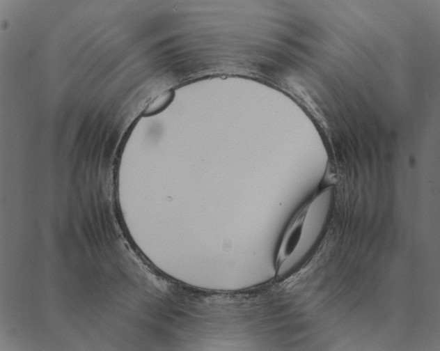 X0000087390898200705181304