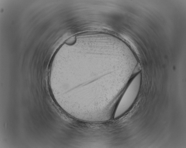 X0000087390899200705181304