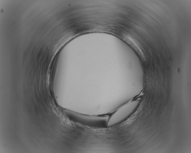 X0000087390900200705181304