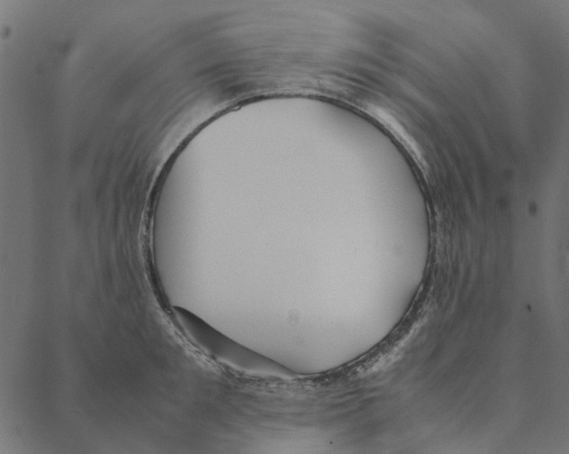 X0000087390901200705181304