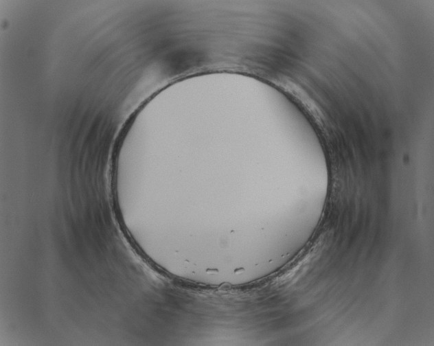 X0000087390902200705181304