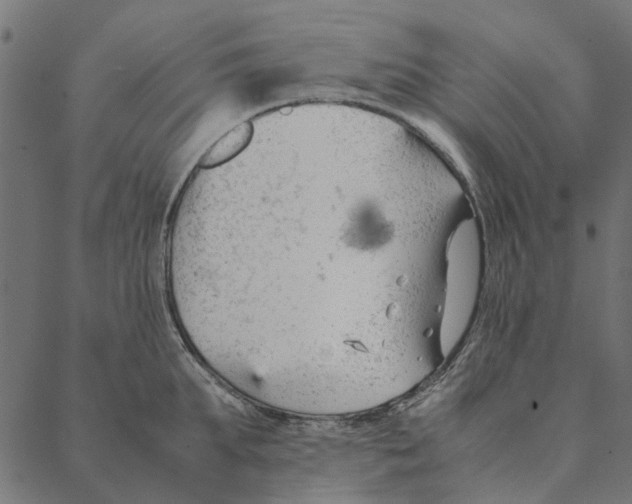 X0000087390903200705181304