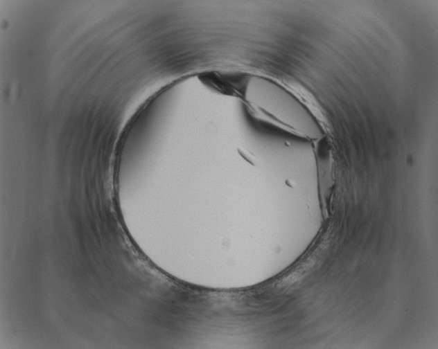 X0000087390904200705181304