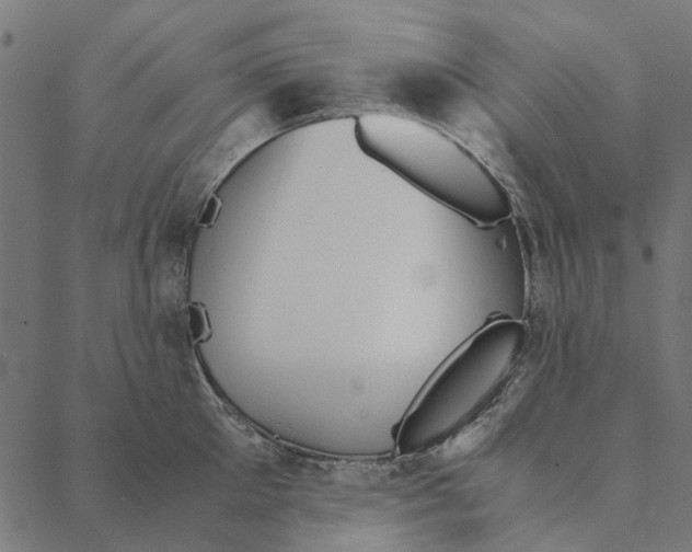 X0000087390905200705181304