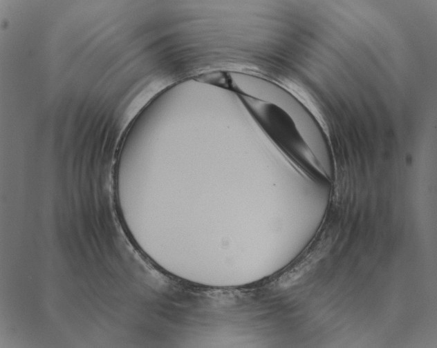 X0000087390906200705181304