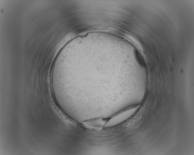 X0000087390907200705181304