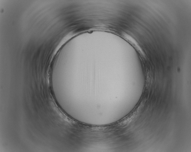 X0000087390908200705181304