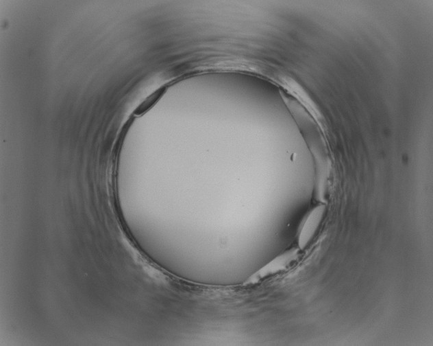 X0000087390909200705181304