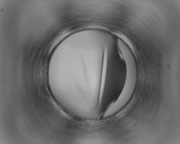 X0000087390910200705181304