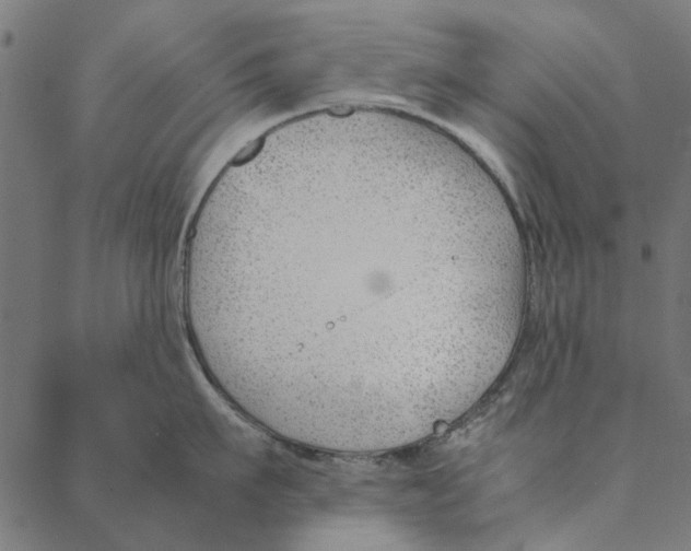 X0000087390911200705181304