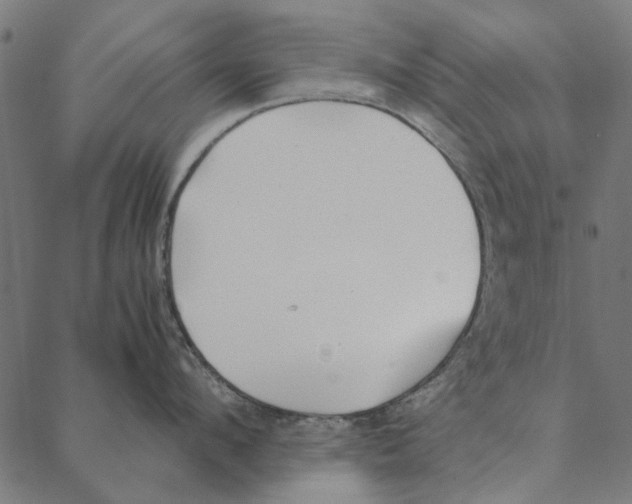 X0000087390912200705181304