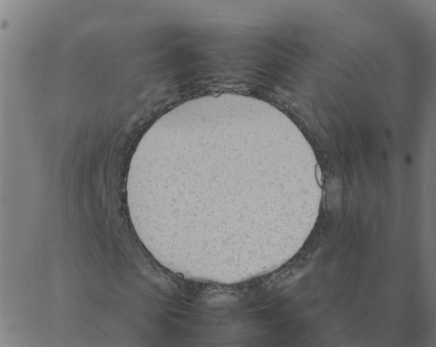 X0000087390913200705181303