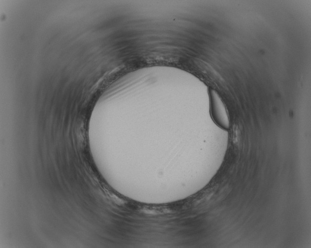 X0000087390915200705181303