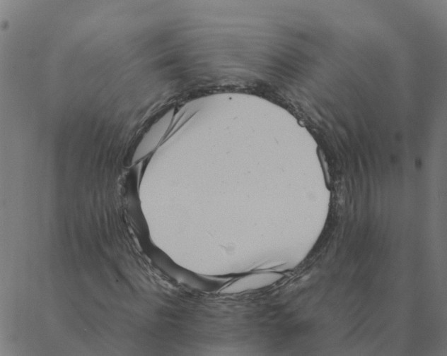 X0000087390916200705181303