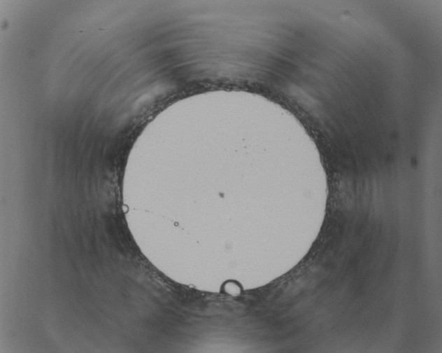 X0000087390918200705181303