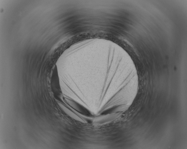 X0000087390919200705181303