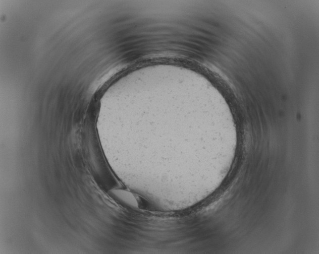 X0000087390921200705181303