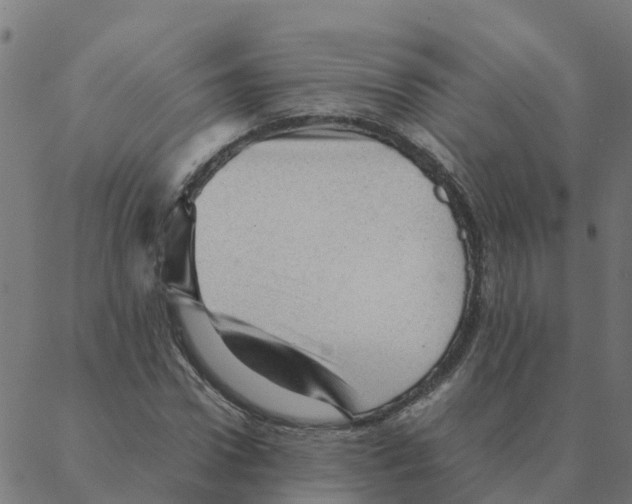 X0000087390922200705181303