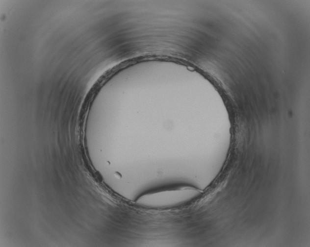 X0000087390924200705181303