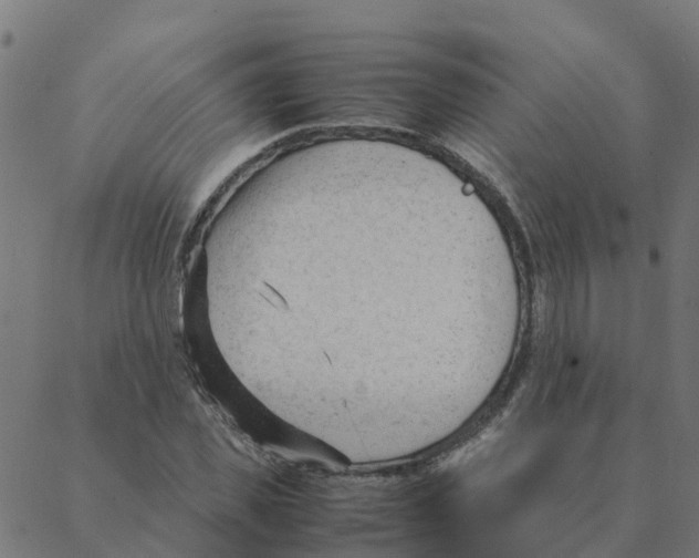 X0000087390925200705181303