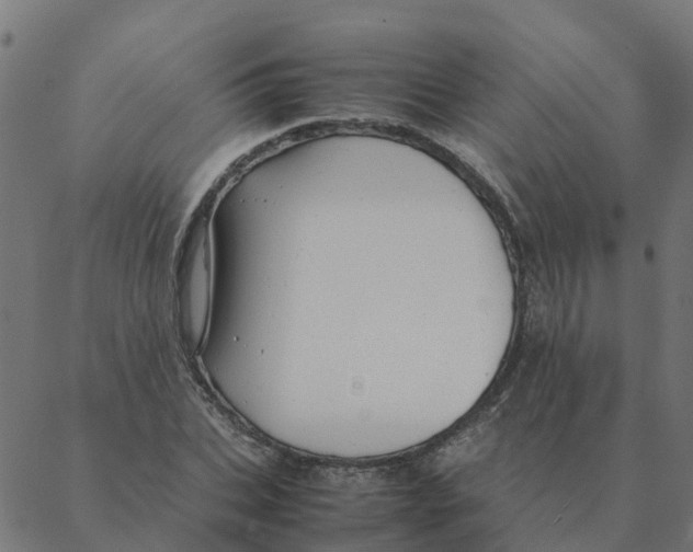 X0000087390927200705181303