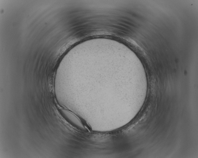 X0000087390929200705181303