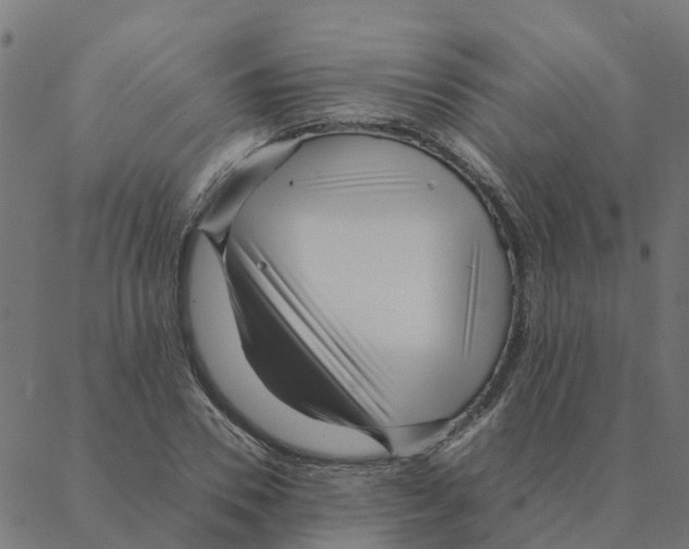 X0000087390930200705181303