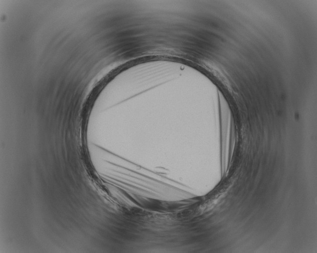 X0000087390931200705181303